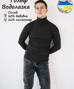 Гольф-водолазка утеплений колір чорний, гольф утеплений, гольф зимовий Гольф-водолазка утеплений колір чорний, гольф утеплений, гольф зимовий
